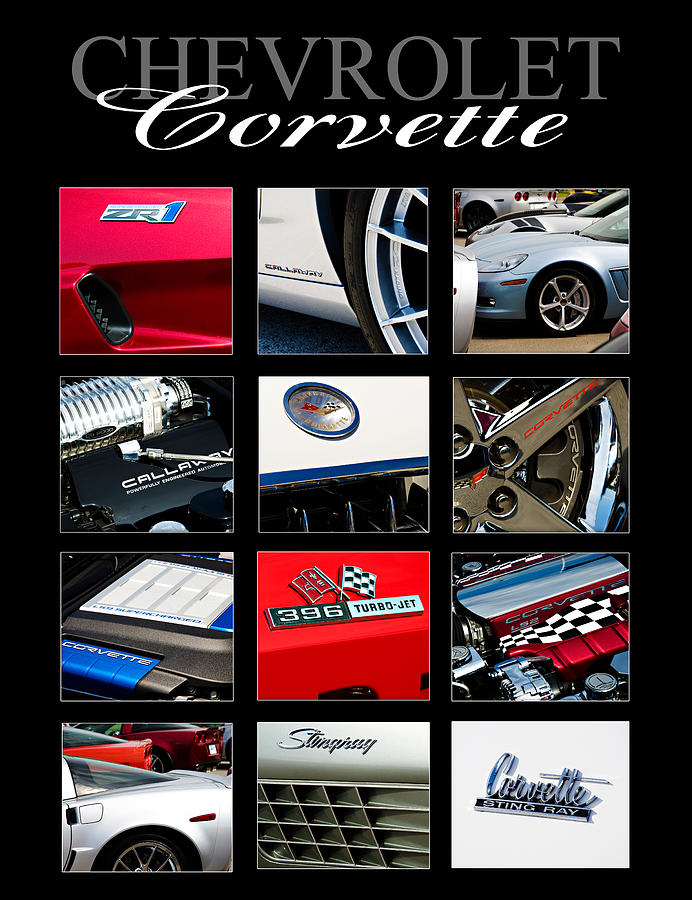 Sports Photograph - Chevrolet Corvette by Ricky Barnard