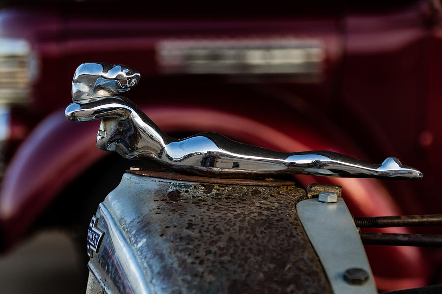 Chevrolet Hood Ornament Photograph by Jay Stockhaus