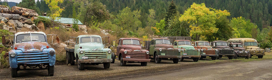Chevy Line up Photograph by Jean Noren