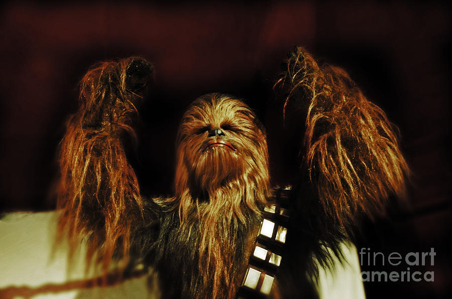 Chewie Photograph by Frank Larkin