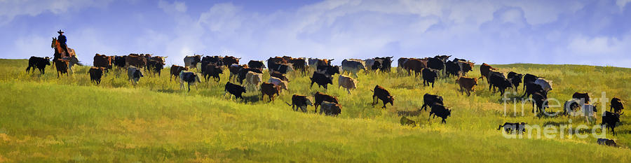 Cheyenne Cattle Roundup Photograph by Priscilla Burgers