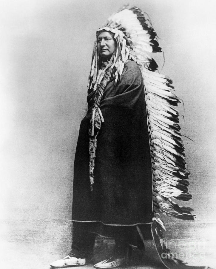 Cheyenne Native American C 1878 Photograph By Granger Pixels