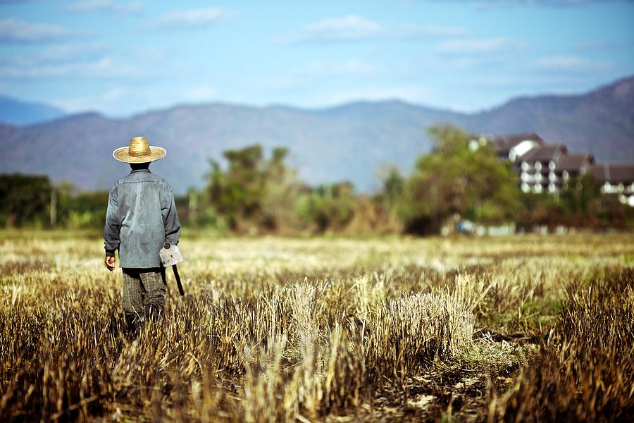 Asia Photograph - Chiang Mai Farmer, Thailand by David Joshua Ford