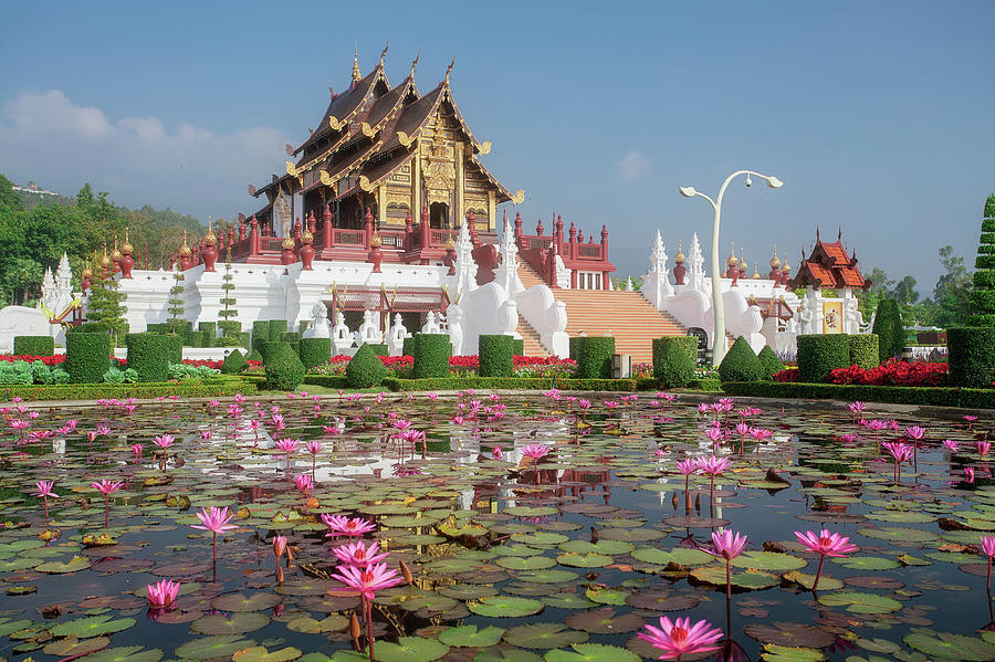 Chiang Mai Thailand At Royal Flora Ratchaphruek Park Photograph By Anek Suwannaphoom Pixels