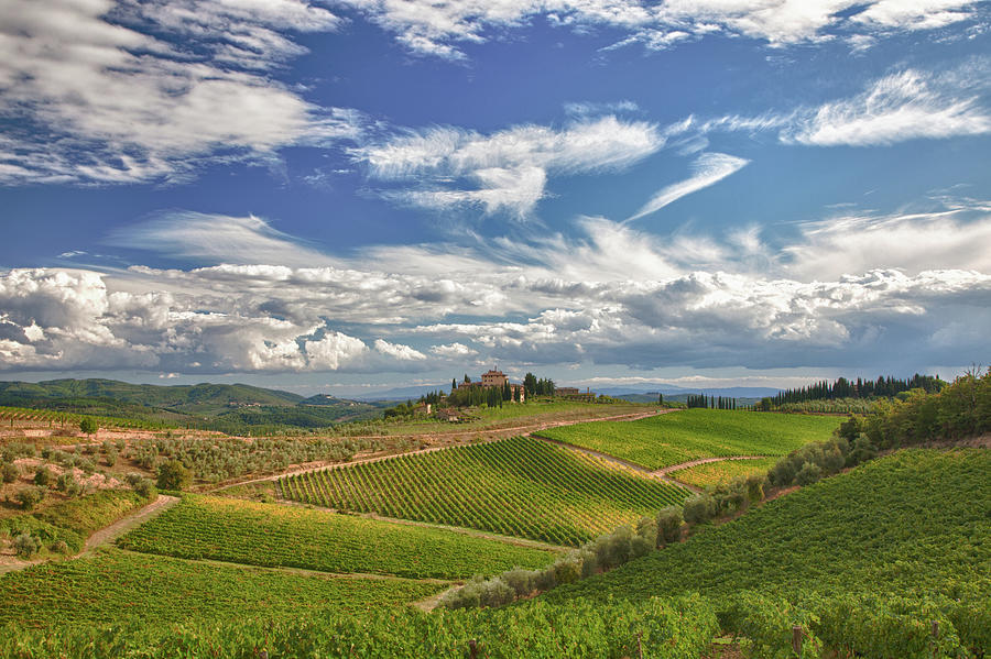 Chianti Afternoon Photograph by Eggers Photography