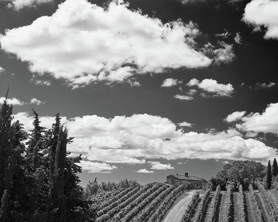 Chianti Vineyards by Richard Goodrich Chianti Vineyards by Richard Goodrich