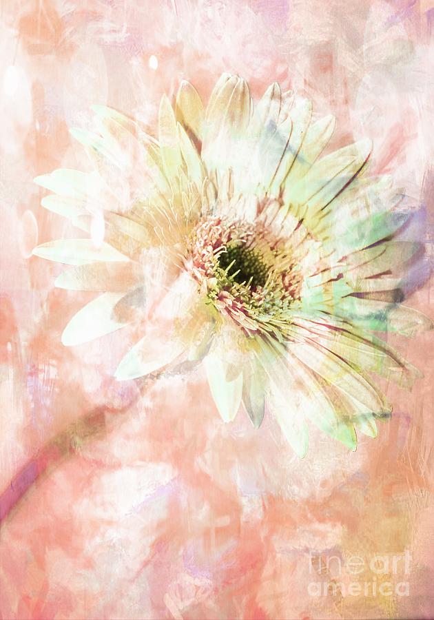 Flower Photograph - Chic by Clare Bevan