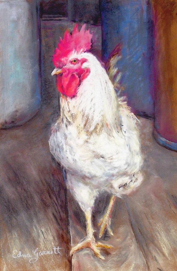 Chic Rooster Drawing by Edna Garrett