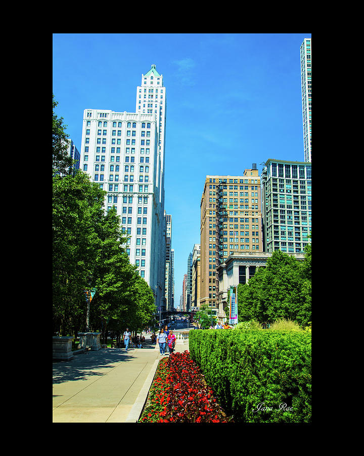 Chicago 7950 by Jana Rosenkranz Chicago 7950 by Jana Rosenkranz