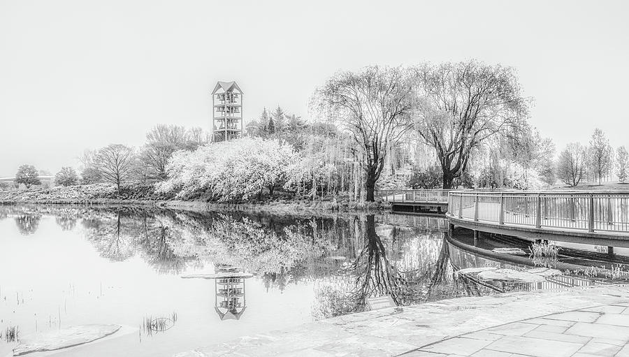 Chicago Botanic Garden Black and White Photograph by Julie Palencia