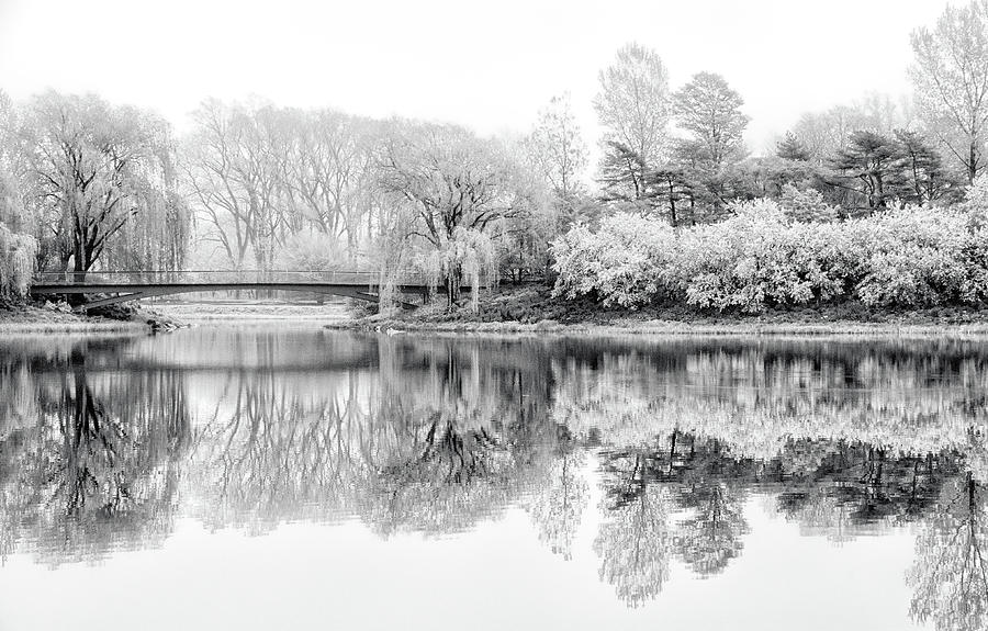 Chicago Botanic Garden in Black and White Photograph by Julie Palencia