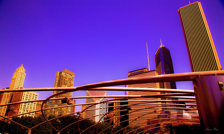 Chicago Bronze by Jana Rosenkranz Chicago Bronze by Jana Rosenkranz