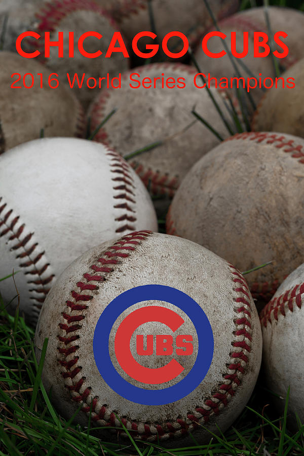 Chicago Cubs World Series Poster Photograph by David Patterson