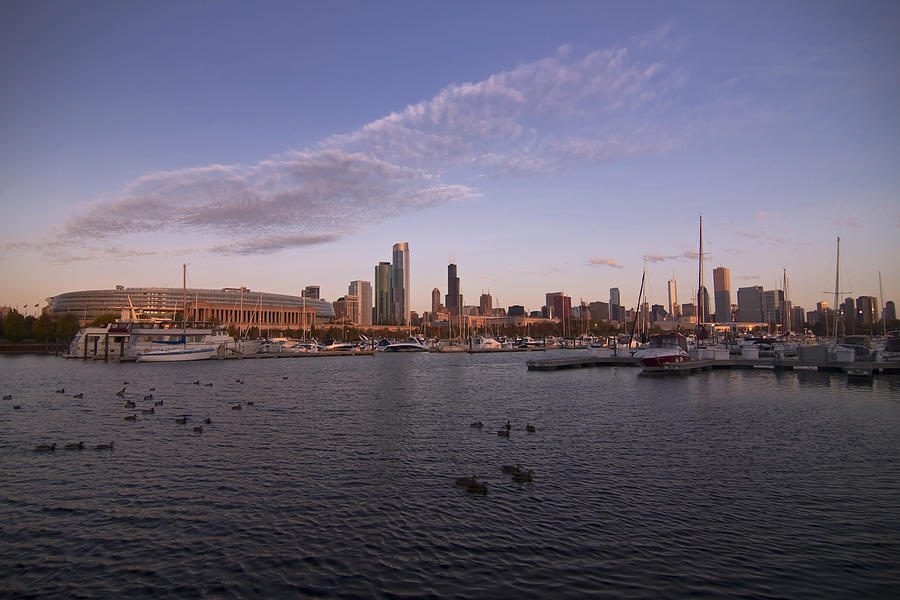 Chicago Harbor and Skyline Photograph by Sven Brogren