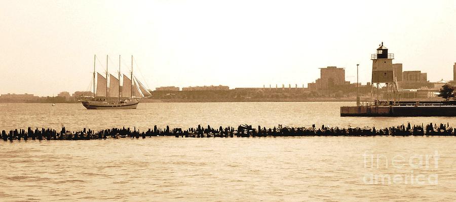 Chicago Harbor Sailing Photograph by Lisa Kilby