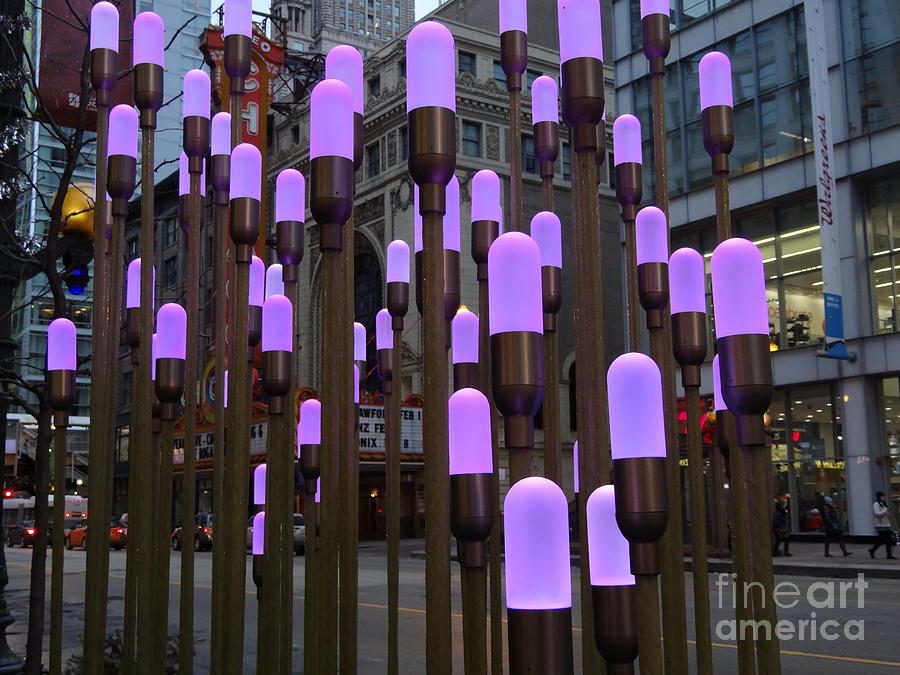 Chicago Holiday Lights Show Photograph by Teresa Hayes Fine Art America