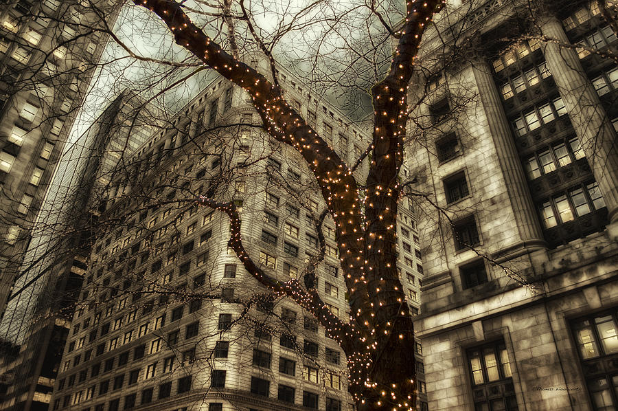 Chicago In November Holiday Lights PA Photograph by Thomas Woolworth