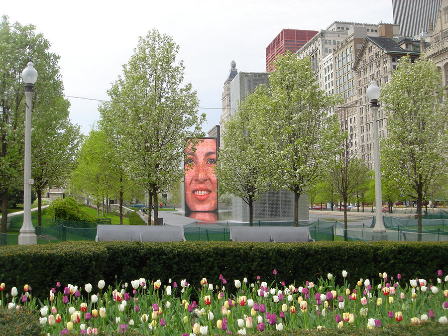Chicago Photograph - Chicago by Jean Macaluso Chicago Photograph - Chicago by Jean Macaluso