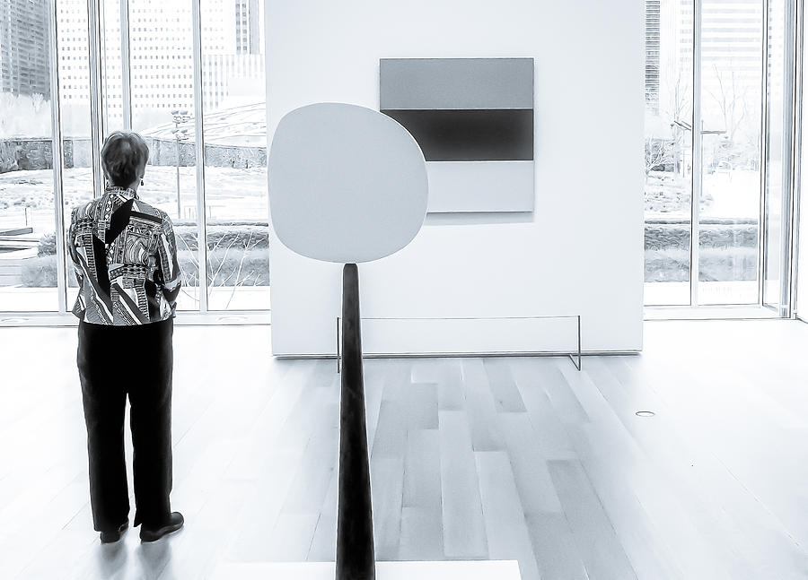 Chicago MCA 2014 Photograph by Frank Winters