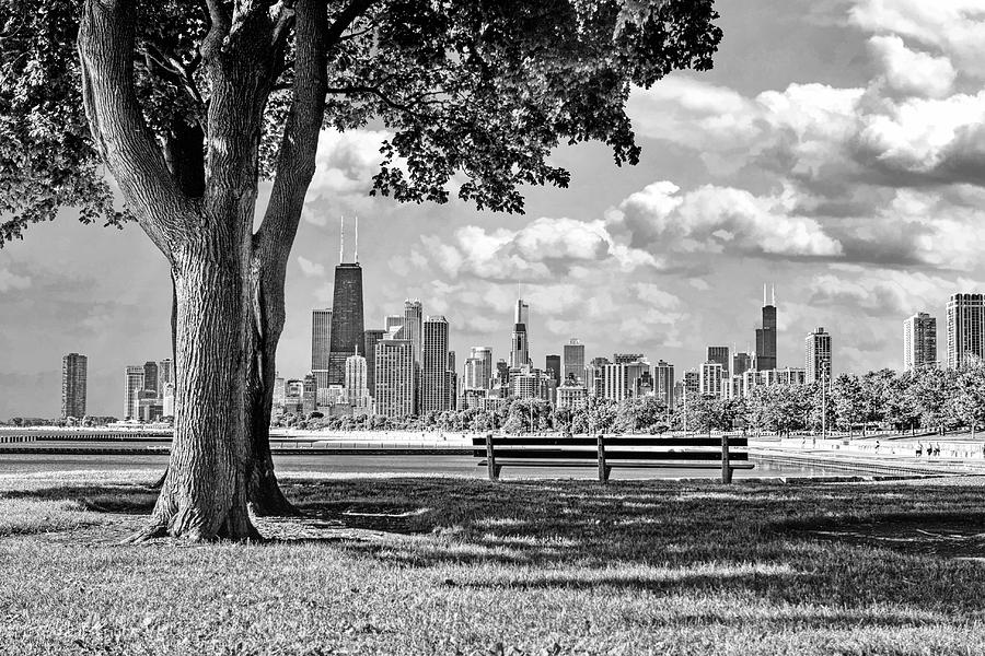 Chicago North Skyline Park Black and White Photograph by Christopher Arndt