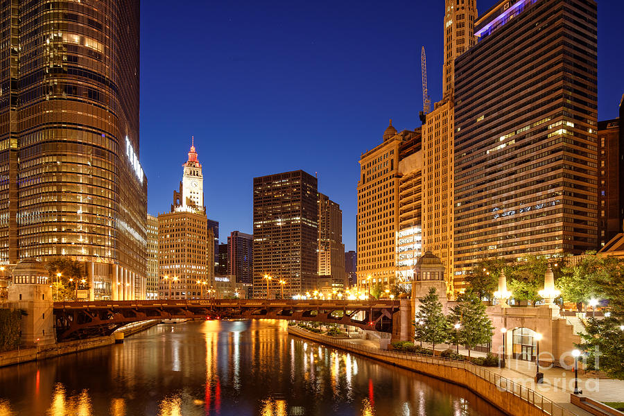 Chicago River Trump Tower and Wrigley Building at Dawn - Chicago Illinois Photograph by Silvio Ligutti