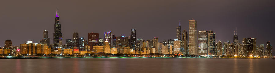 Chicago Skyline 4 Photograph by David Downs