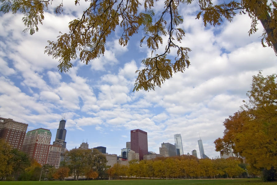 Chicago Skyline and fall colors Photograph by Sven Brogren