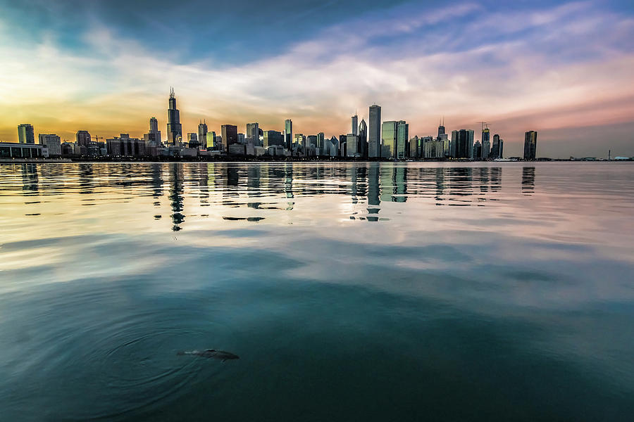 Chicago Skyline and fish at dusk Photograph by Sven Brogren