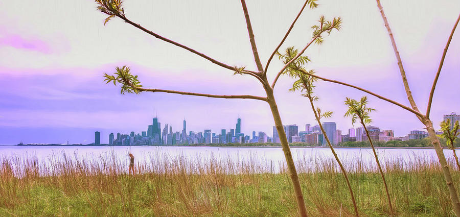 Chicago Skyline - The View From Montrose Point Photograph by Wes Iversen