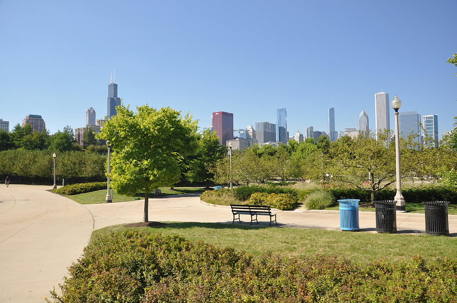 Chicago Skyline Photograph by Daniel Ness