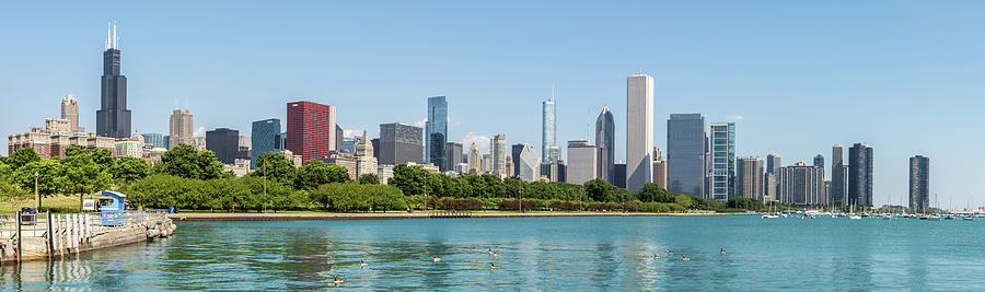 Chicago Skyline Photograph by David Hart