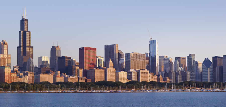 Chicago Skyline Photograph by Donald Schwartz - Fine Art America