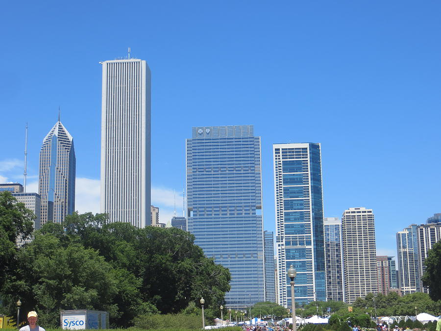 Chicago Skyline II Photograph by Cindy Kellogg - Pixels