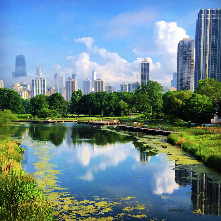 Chicago Skyline, Water Reflection, Lincoln Park Photograph by Patrick Malon
