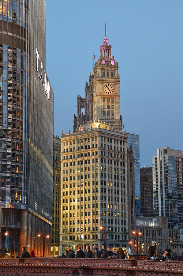 chicago skyscraper