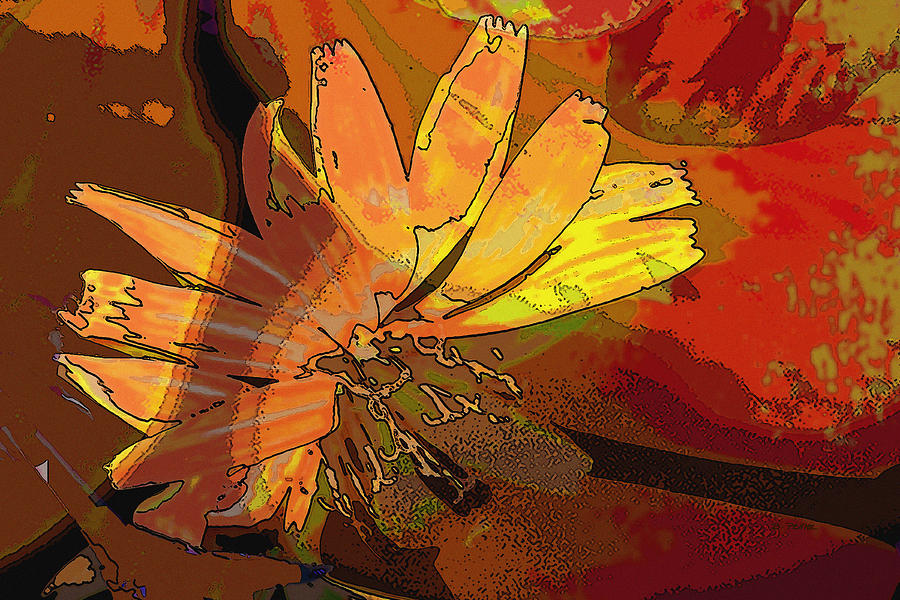 Chicory 10 by Betty Pehme Chicory 10 by Betty Pehme
