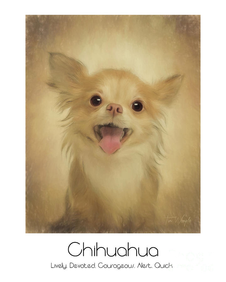 Chihuahua Poster #1 Digital Art by Tim Wemple