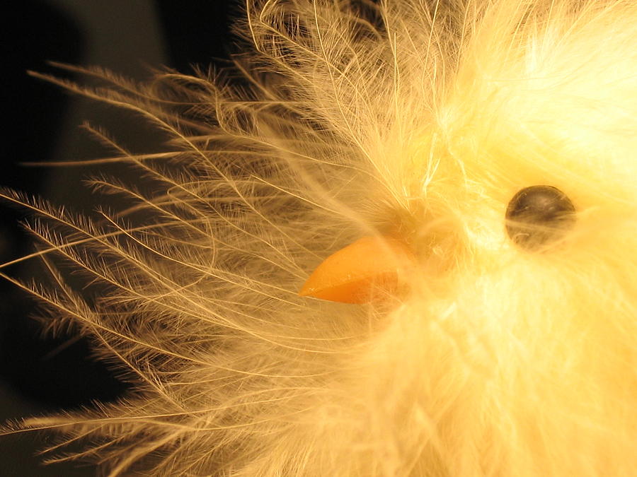Easter Photograph - Chick by Susie DeZarn