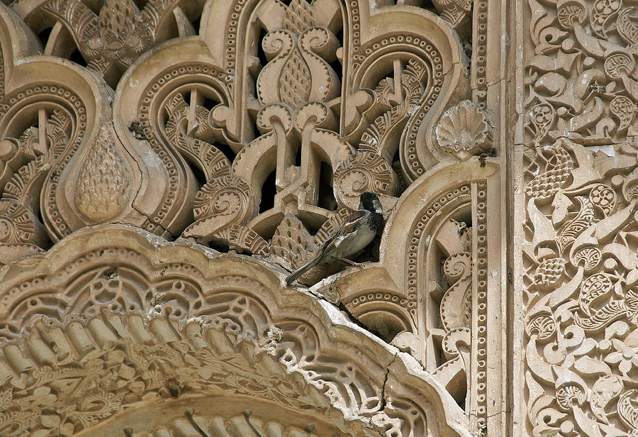 Chickadee, Alhambra Photograph by David Kleinsasser