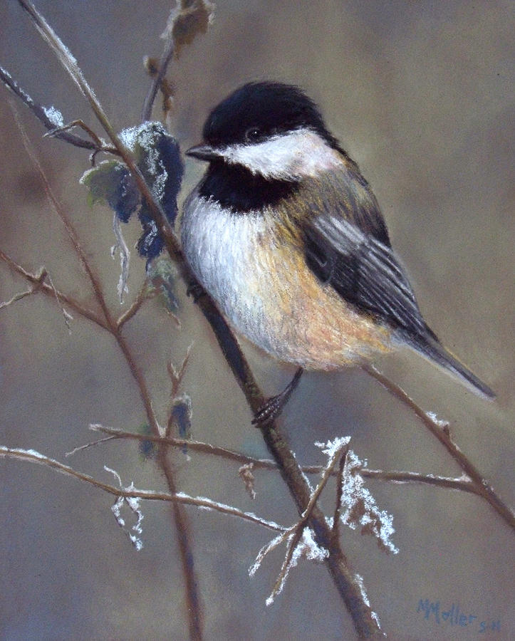 Winter Pastel - Chickadee and Icicles by Marcus Moller