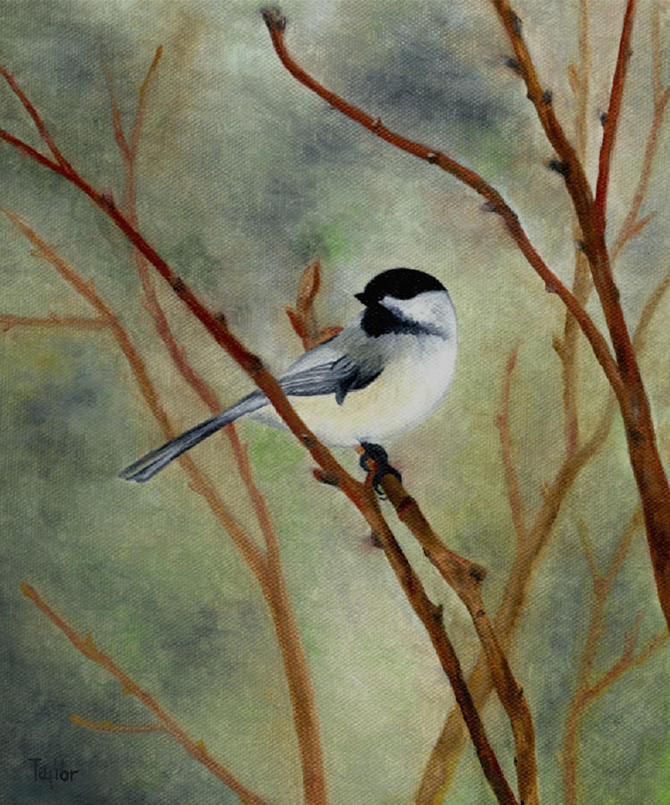 Chickadee in Winter Painting by FT McKinstry