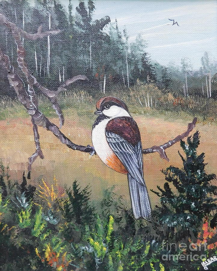 Chickadee Painting by Joan Clear