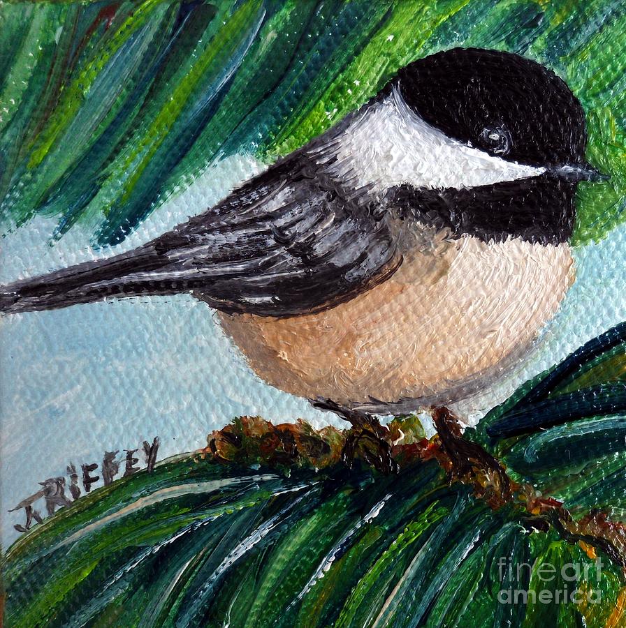 Chickadee on Pine Branch Painting by Julie Brugh Riffey