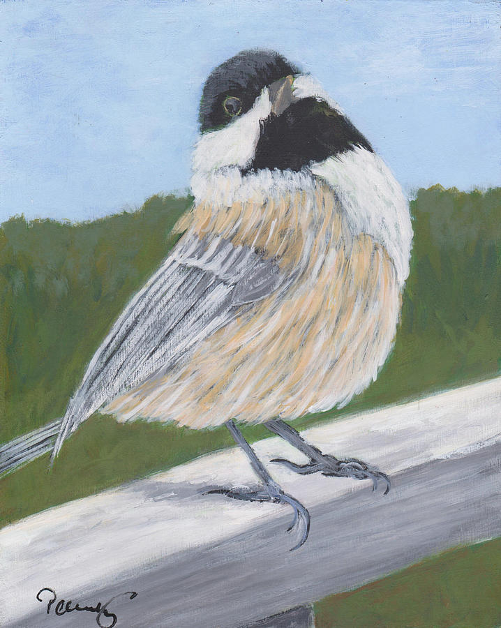 Chickadee Painting - Chickadee by Patricia Cleasby