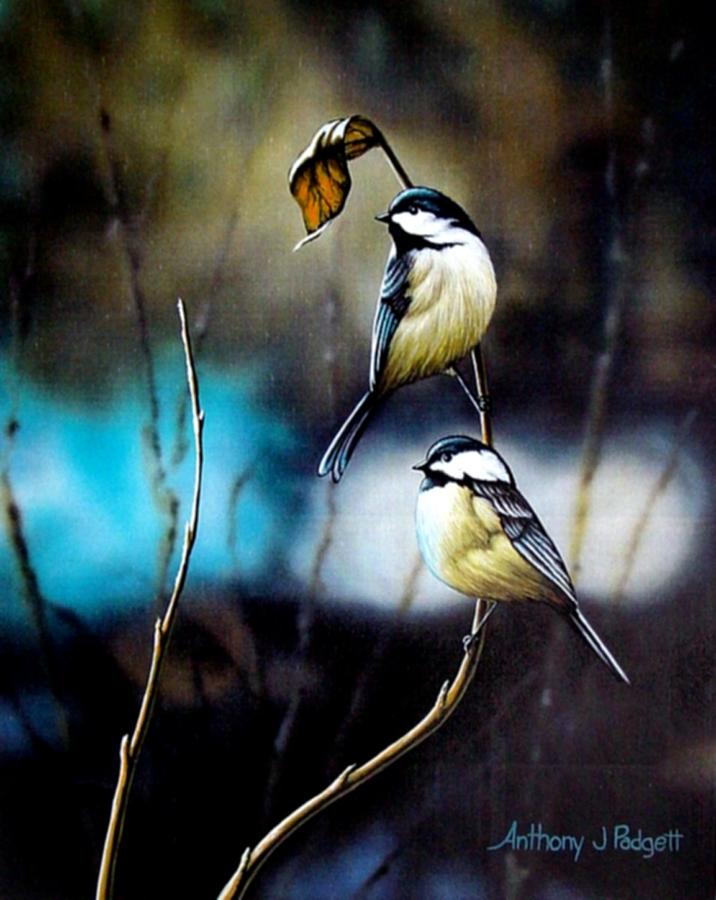 Chickadees Painting by Anthony J Padgett