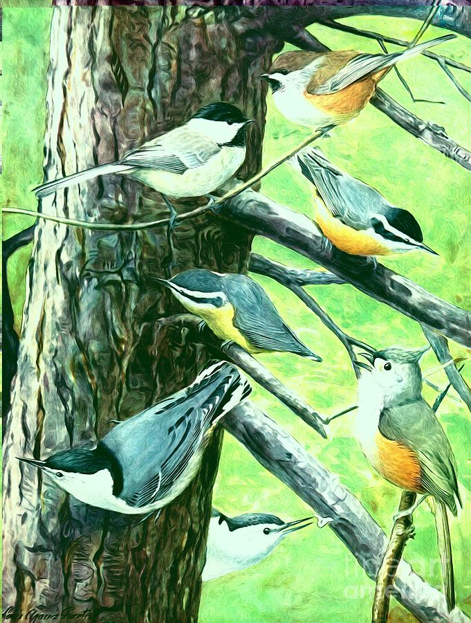 Chickadees Nuthatches and Titmouse Birds Mixed Media by Rose Santuci-Sofranko