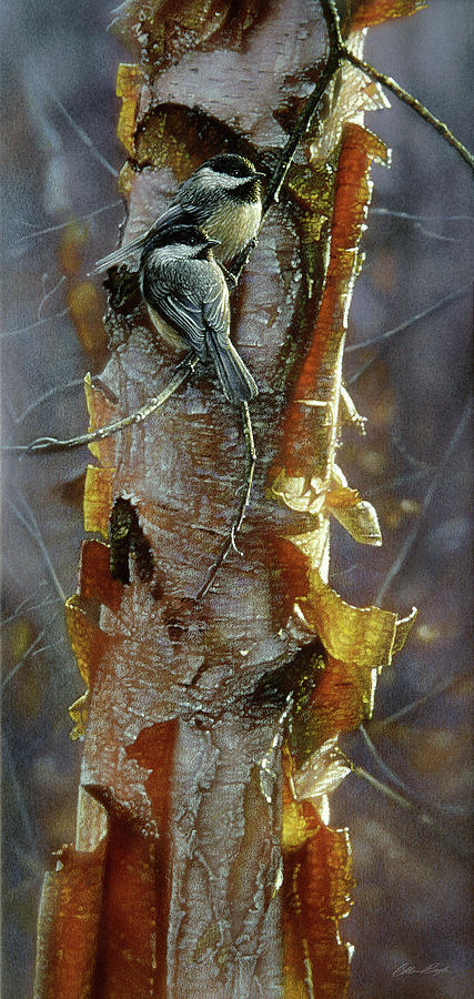 Chickadees - Sunlit Birch Painting by Collin Bogle