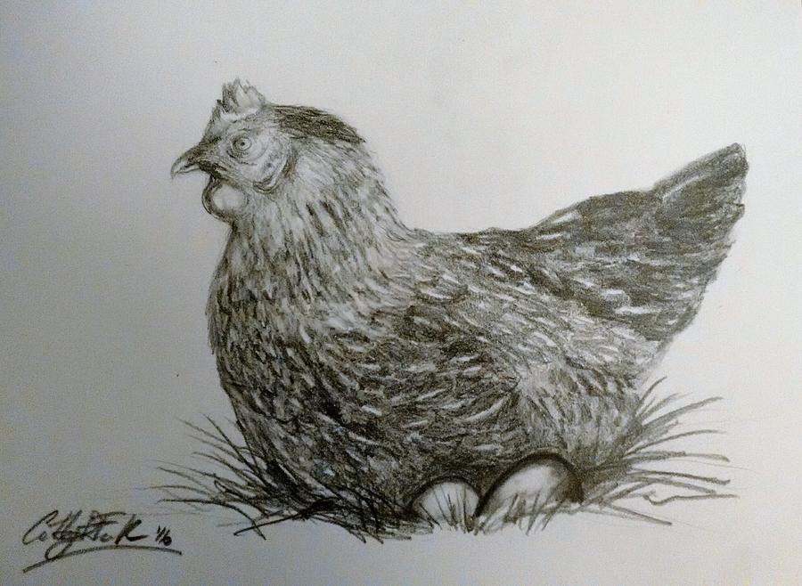 how to draw a realistic chicken