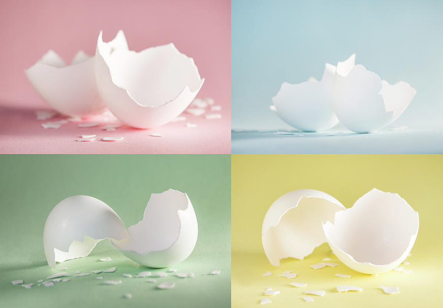Easter Photograph - Chicken Egg Shell Quartett by Iris Richardson
