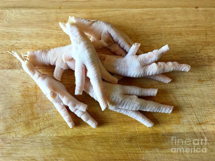 Chicken Feet without Toenails Photograph by Henrik Lehnerer
